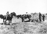 Prouts Farm - Netherton 1930.